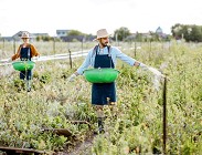 lavoro nero agricoltura