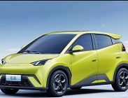 Byd Seagull 2024