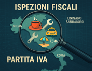 partite iva piu controllate 