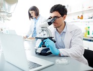 lavorare diploma laurea
