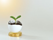 Caratteristiche del Btp Green