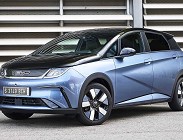 Byd Dolphin 2024