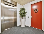 sentenza ascensore condominio 