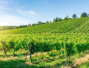 Agricoltura Ue e in Italia