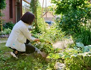 sanzioni cura giardino