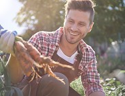 Giovani agricoltori, ecco i nuovi incentivi 
