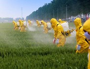 Pesticidi richiesta una revisione