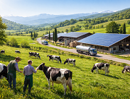 prezzo del latte fissato per il primo semestre 2026
