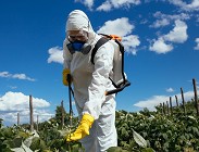 Prosecco, glifosato, pesticidi e sostanze nocive