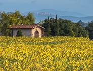diritto prelazione eredita