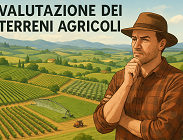 1 ettaro di terreno agricolo