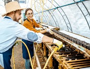 rinnovo contratto cooperative