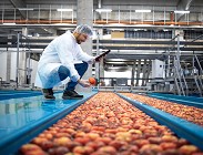 Stipendi contratto industria alimentare CCNL 2024