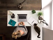 Supporto per la Formazione e il Lavoro