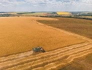 Quanto costa un terreno agricolo
