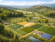 Tendenze attese nel 2026